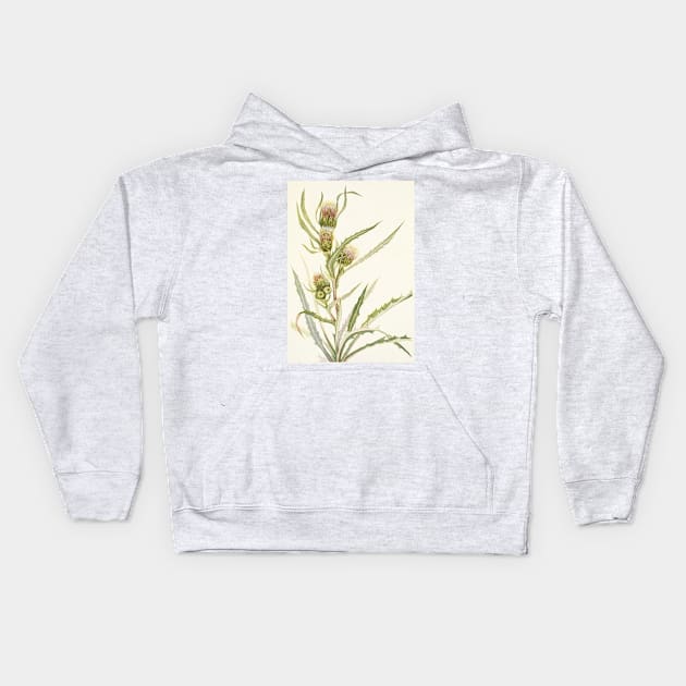 White thistle - Botanical Illustration Kids Hoodie by chimakingthings